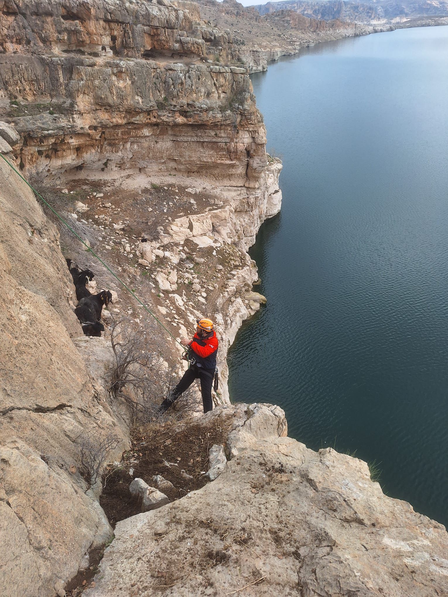 Mahsur kalan 20 keçi kurtarıldı