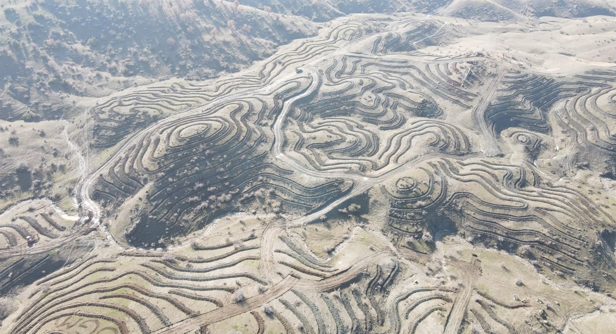 Kelhasan Köyüne gelir getirici 5 bin 300 fidan dikildi