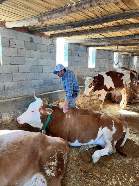 Orköy Projesi ile Batman’da 26 Aileye 6,65 Milyon TL Destek