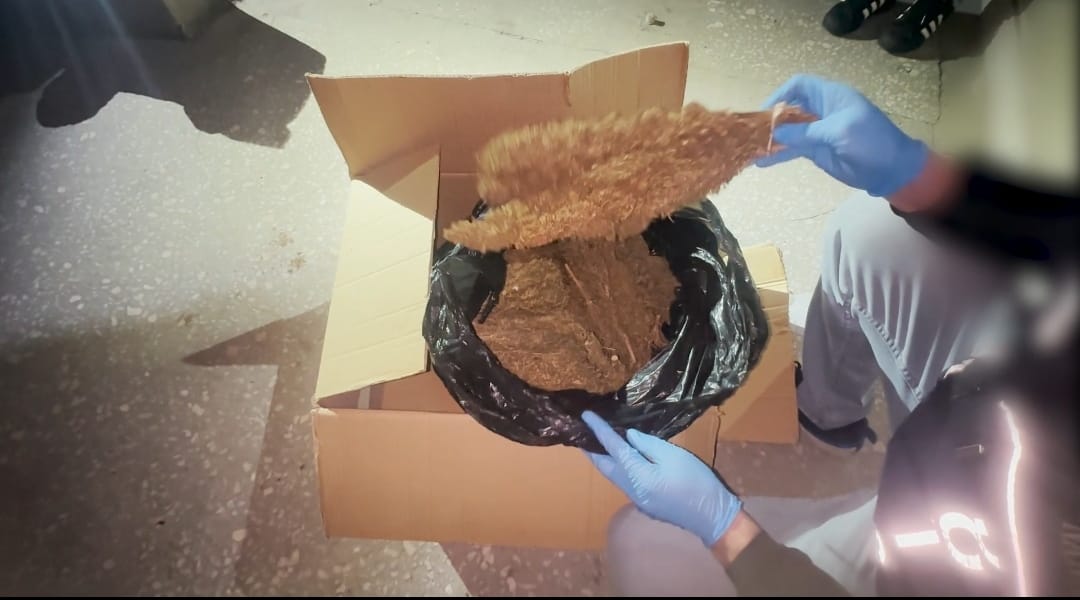 5 Kilo Skunk Ele Geçirildi: 2 Tutuklama