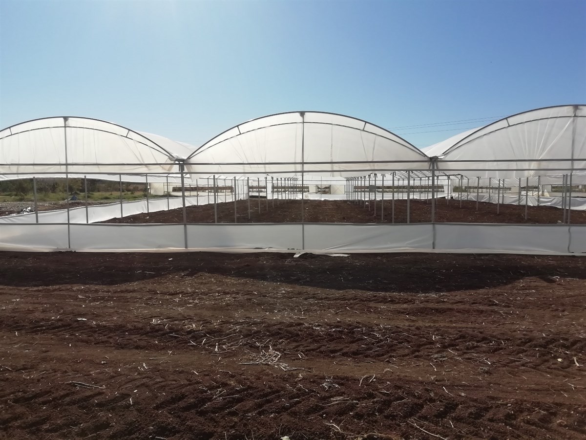 GAP idaresinden çiftçilere destek