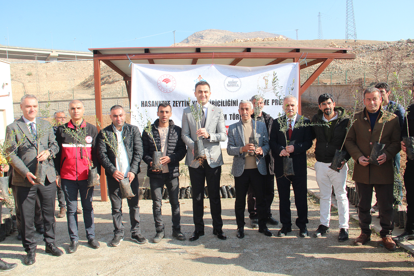 Hasankeyf Zeytinciliğe Adım Atıyor: 10 Bin Fidan Dağıtıldı