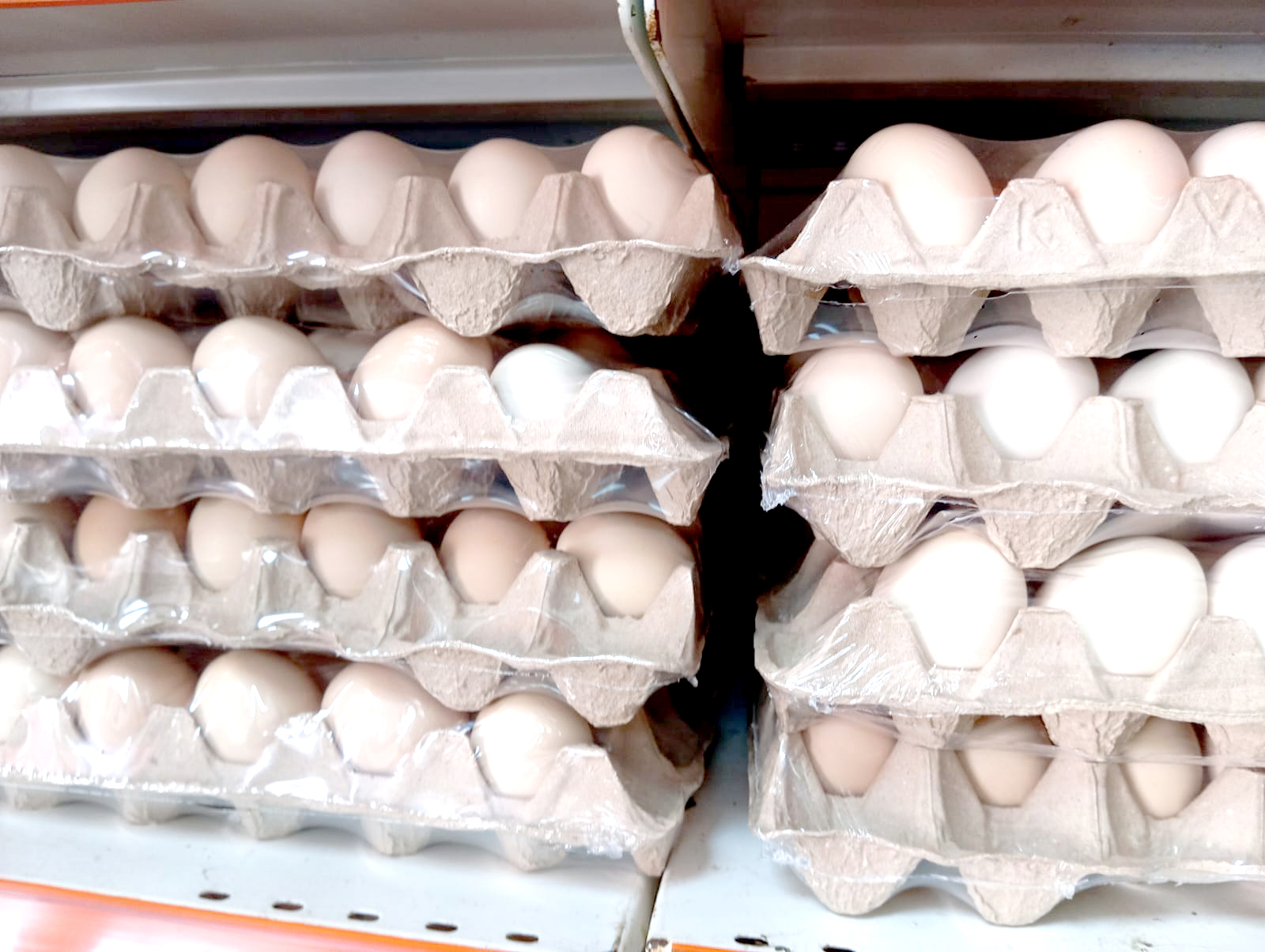 Yumurta Fiyatlarındaki Artış Tepki Çekiyor