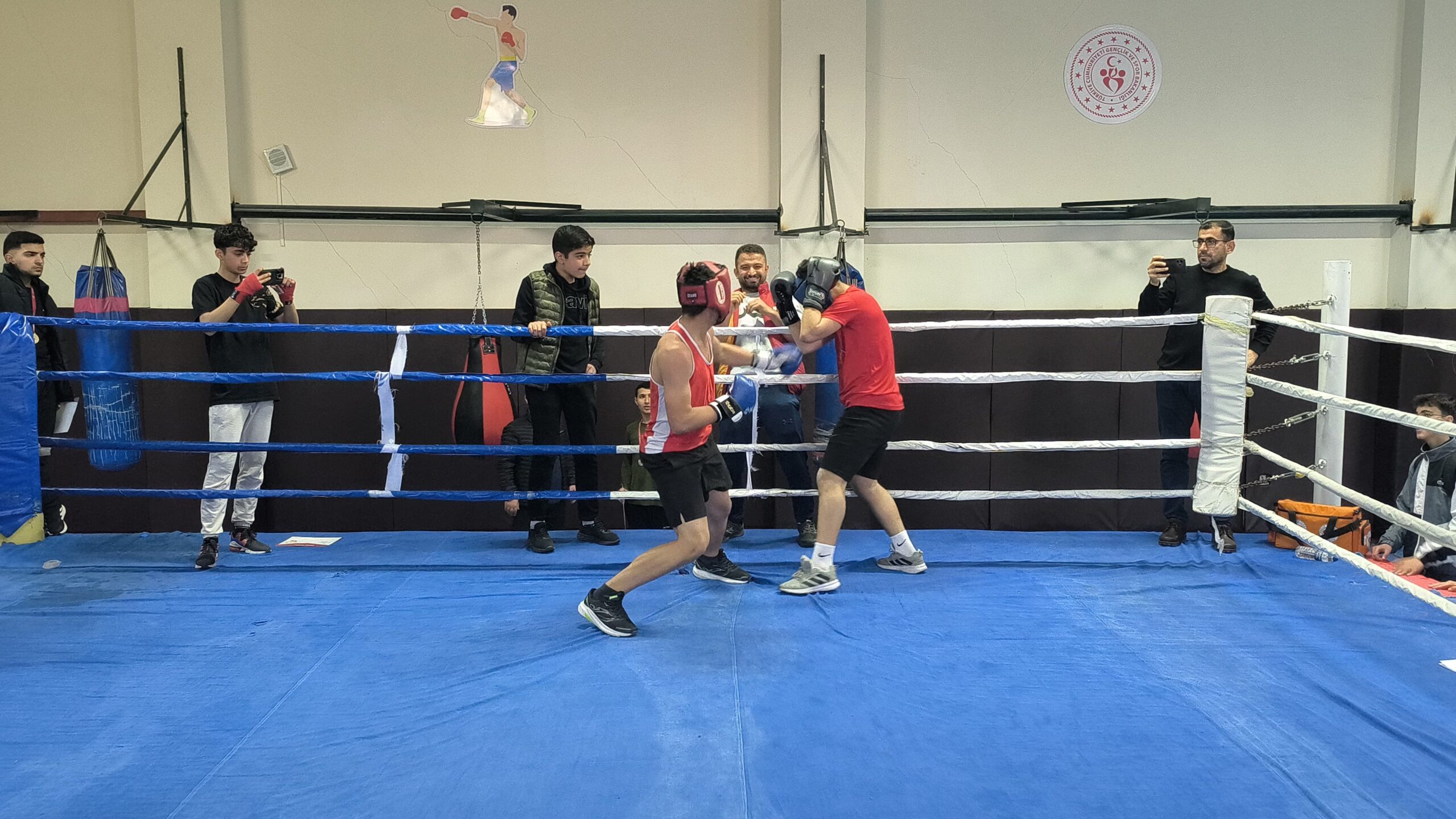 Boks il şampiyonası sone erdi