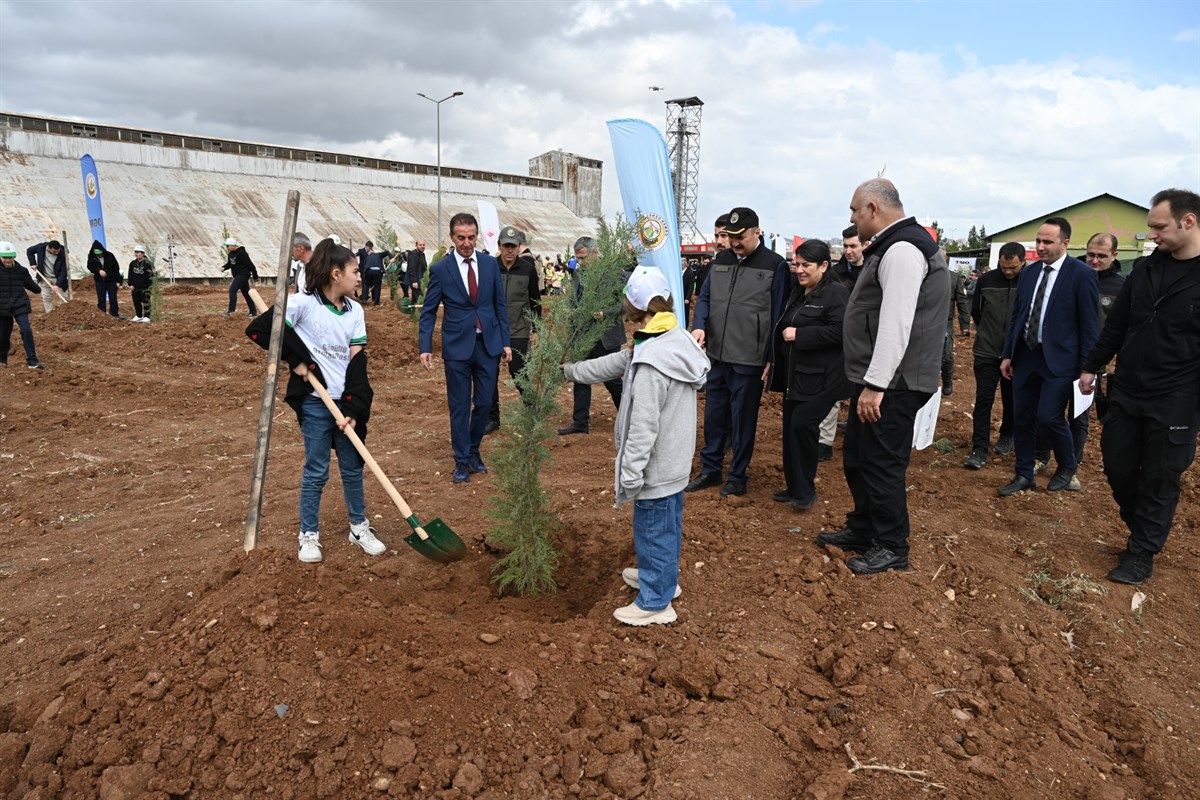 Binlerce Fidan Toprakla Buluştu