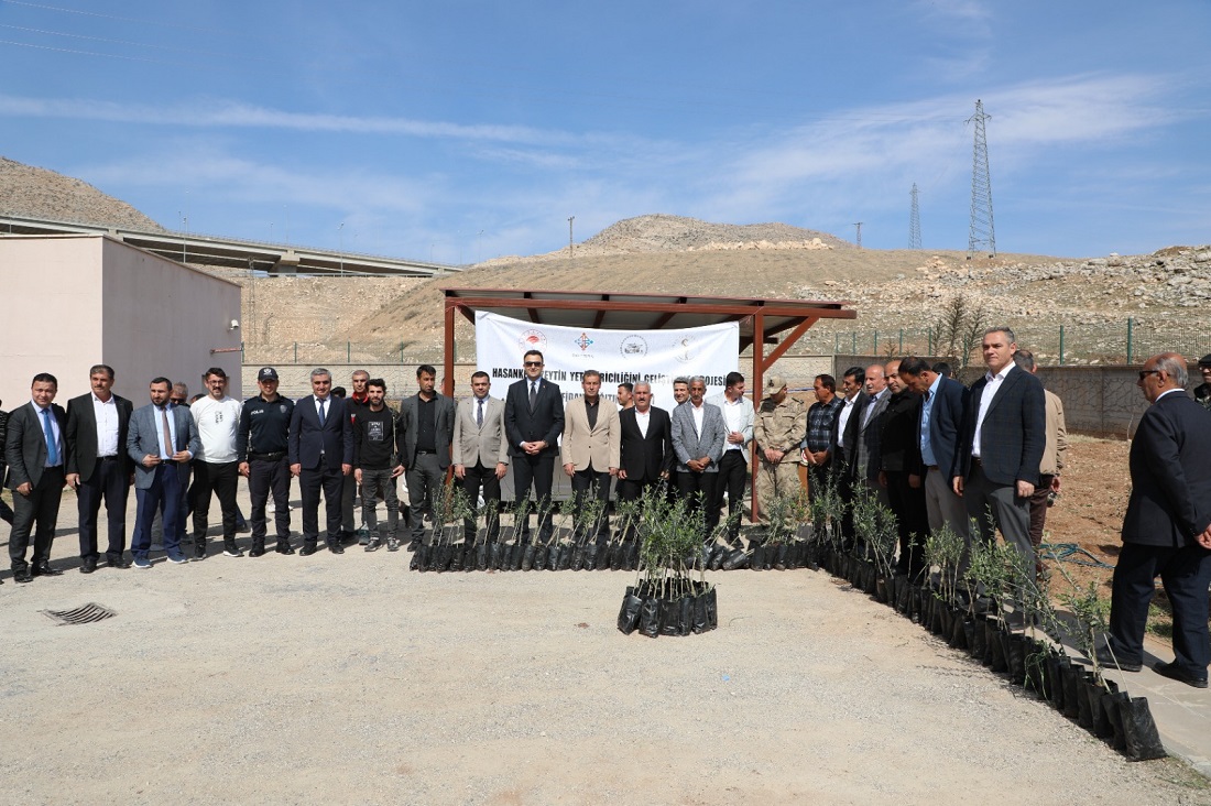 5 Bin Zeytin Fidanı Dağıtıldı