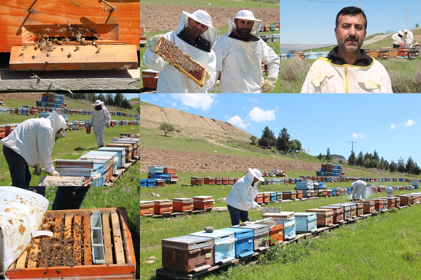 Arıcılar bahar mesaisine başladı
