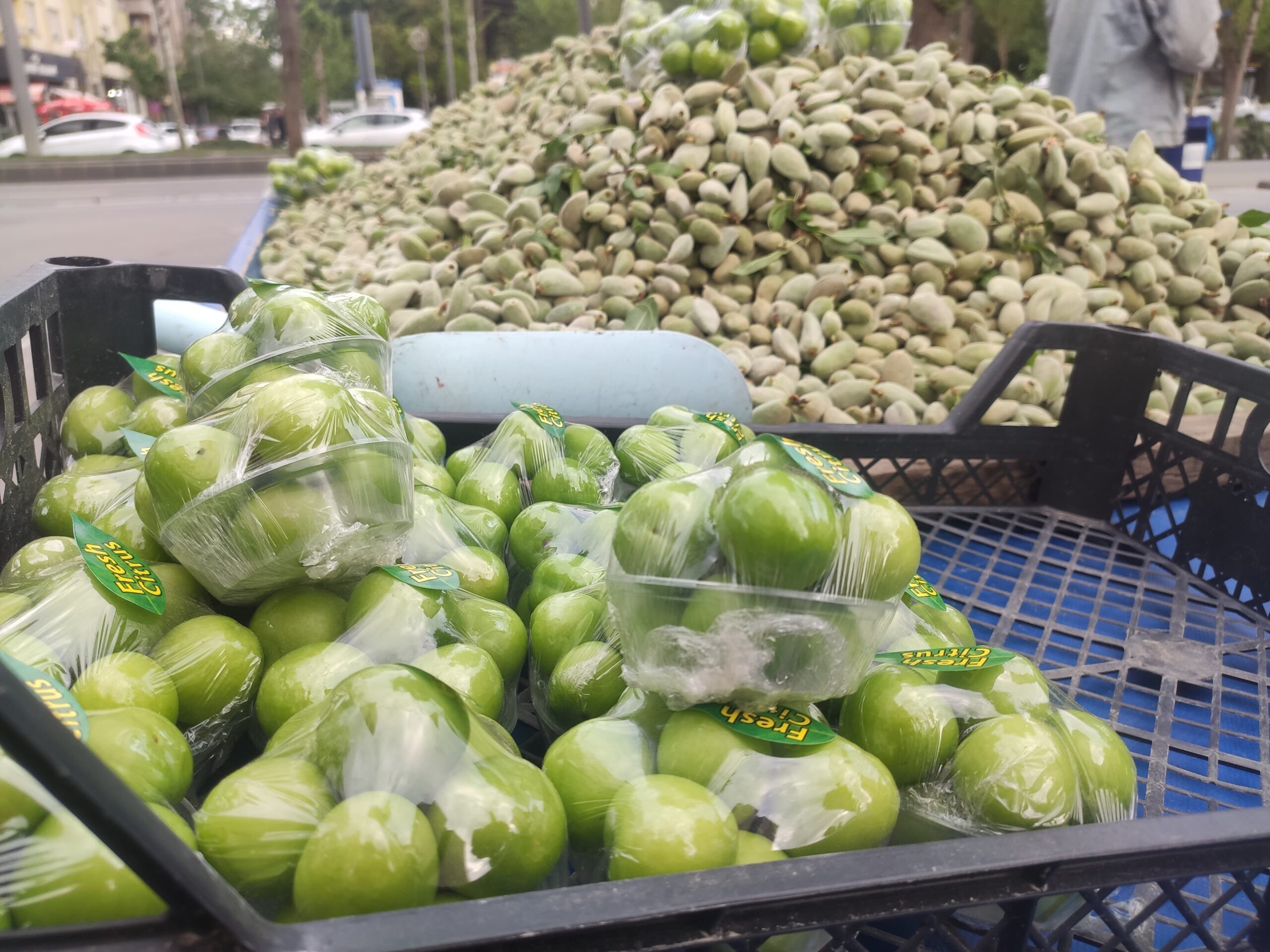 Çağla Gramla, Erik Taneyle: Bahar Sofraları Lüks Oldu