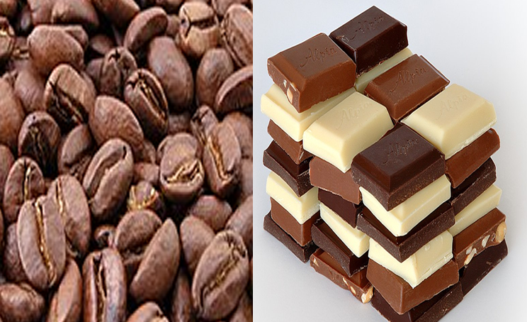 Kahve ve Çikolata Festivali başlıyor