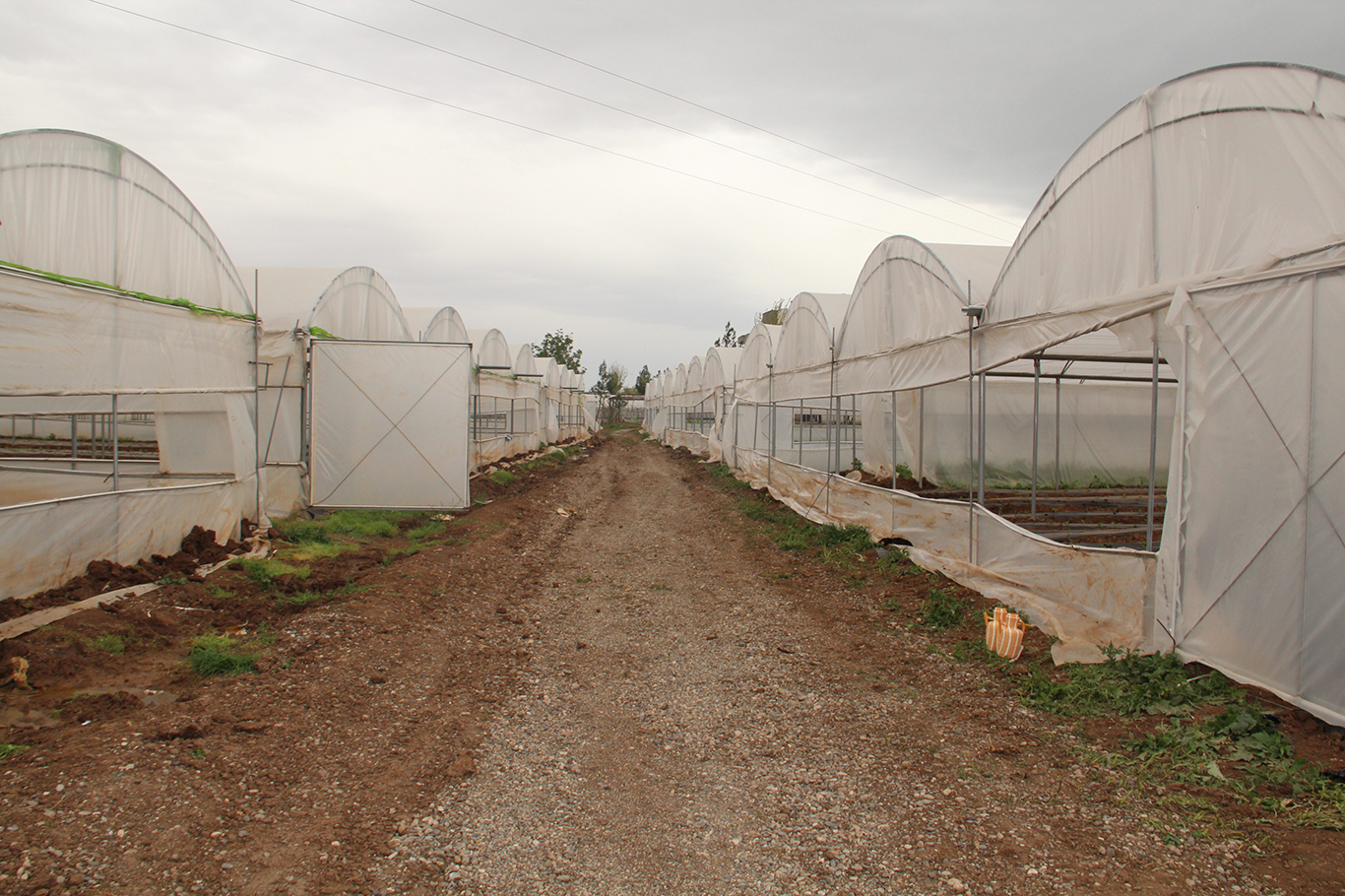 Batman’da 20 Bin Dönümlük Dev Sera Kent Planı