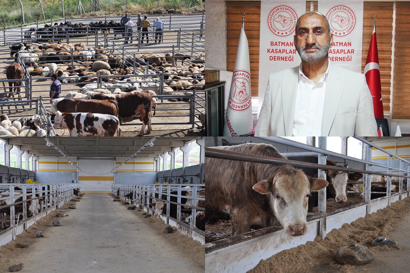 Besiciler: OSB Projesi Hayata Geçirilsin