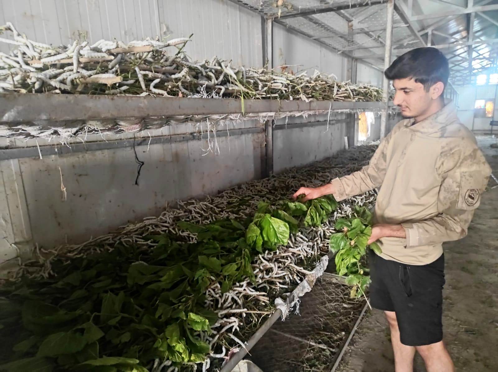 150 Aileye Geçim Kaynağı Oldu