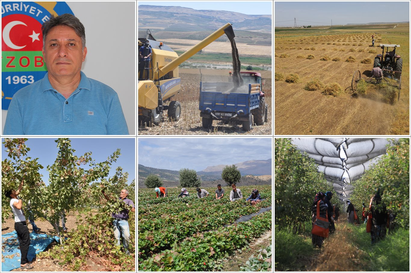 Doğan: İklim Krizi Tarımı Zorluyor