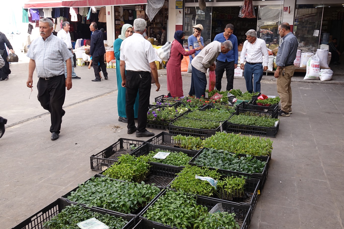 Batman’da Fide Üreticileri Zor Günler Yaşıyor