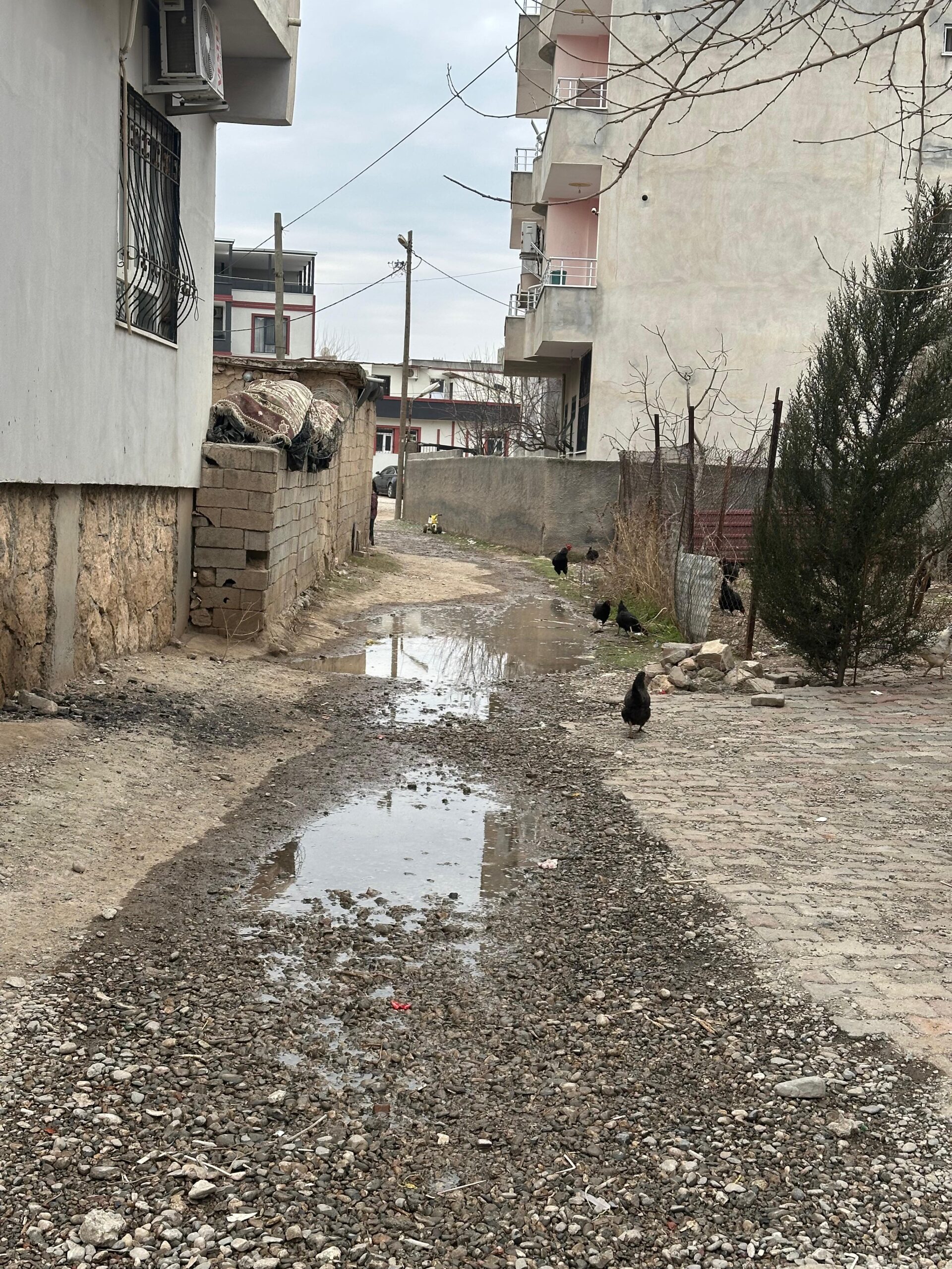 İkiztepe’den Valiliğe Çağrı: Bizi Yeniden Köy Yapın!