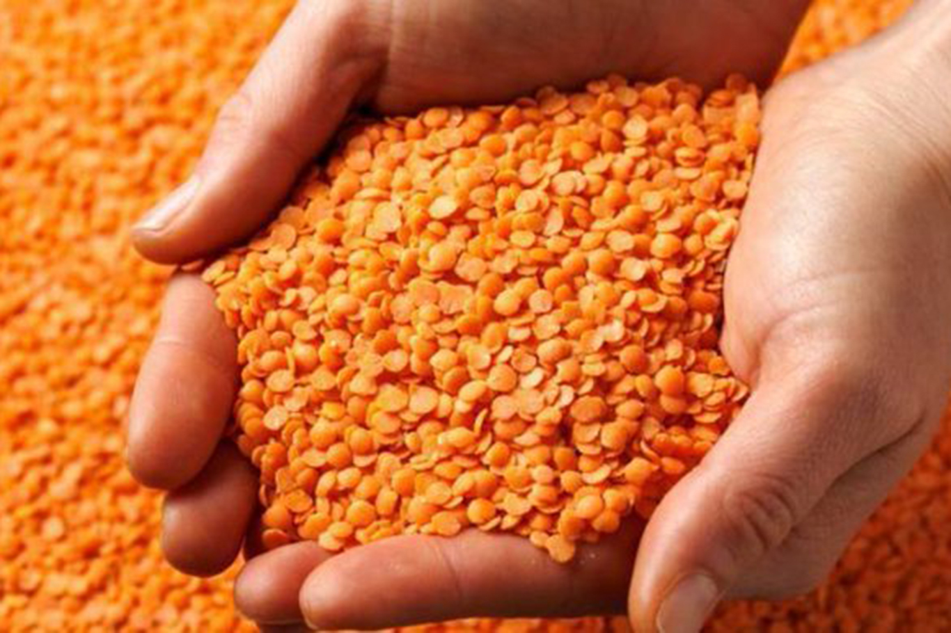 Batman, Mercimekte Türkiye’nin İlk Üçünde