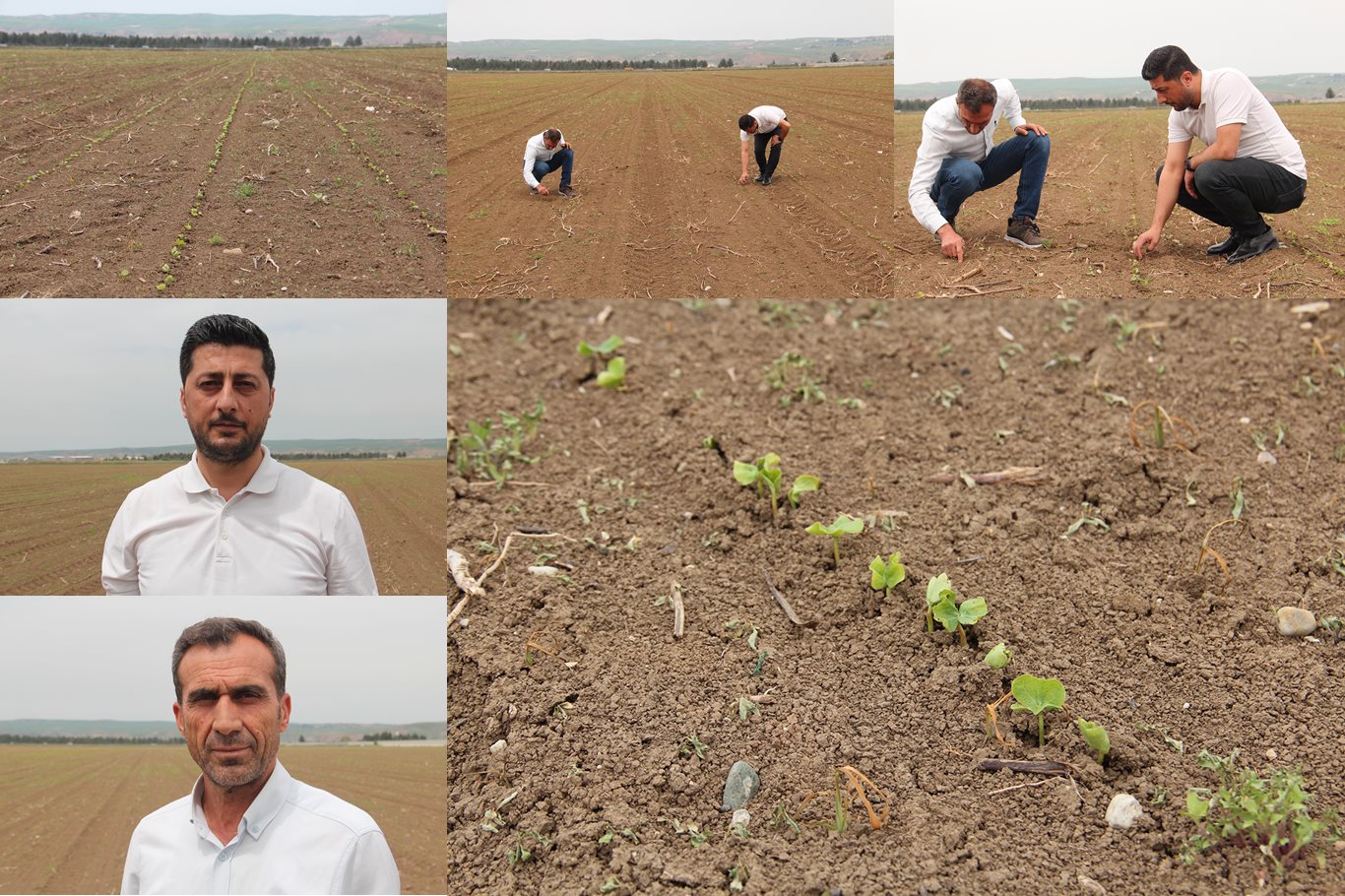 Kağba: Pamuk üreticiliğini artırmak zorundayız