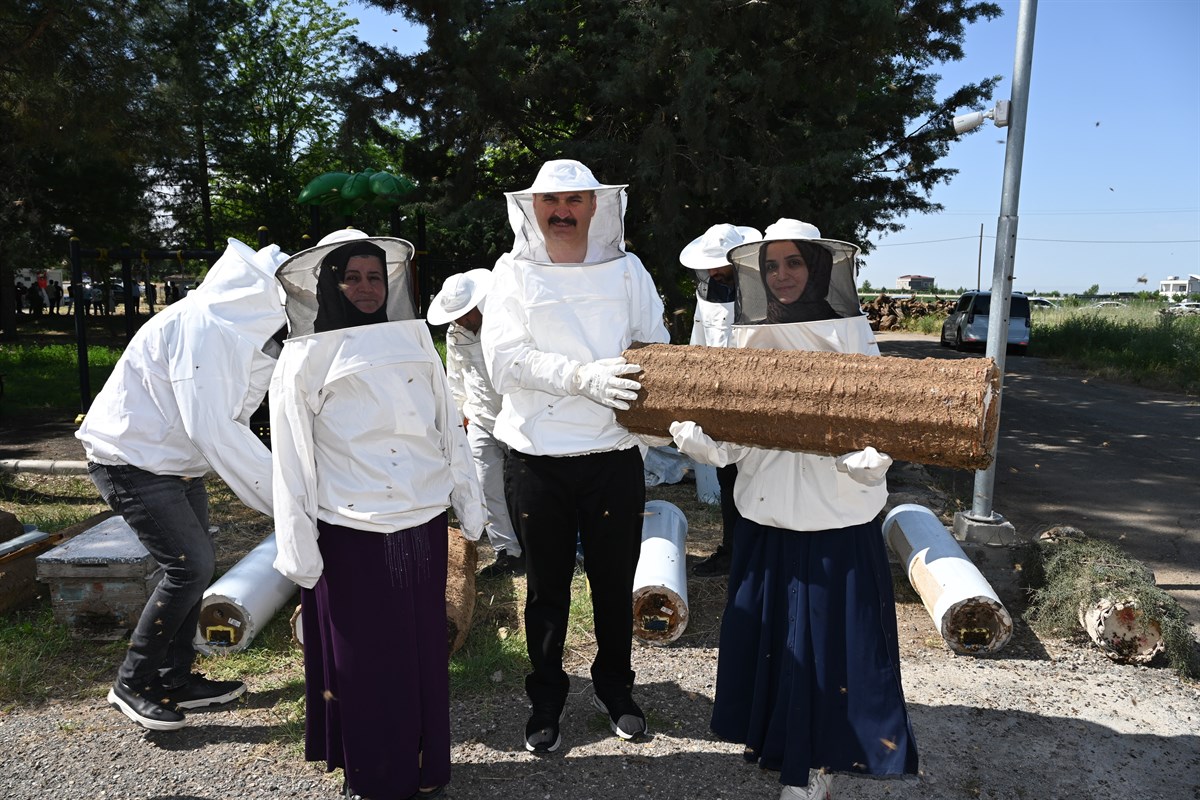 570 adet arılı sepet kovanı dağıtıldı