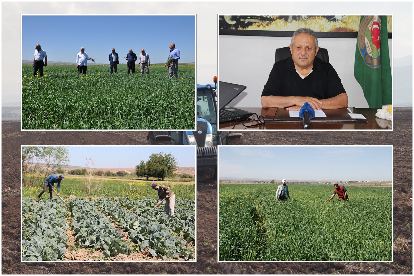 Başkan Aydiş: Türkiye’nin Kalıcı Tarım Politikasına İhtiyacı Var