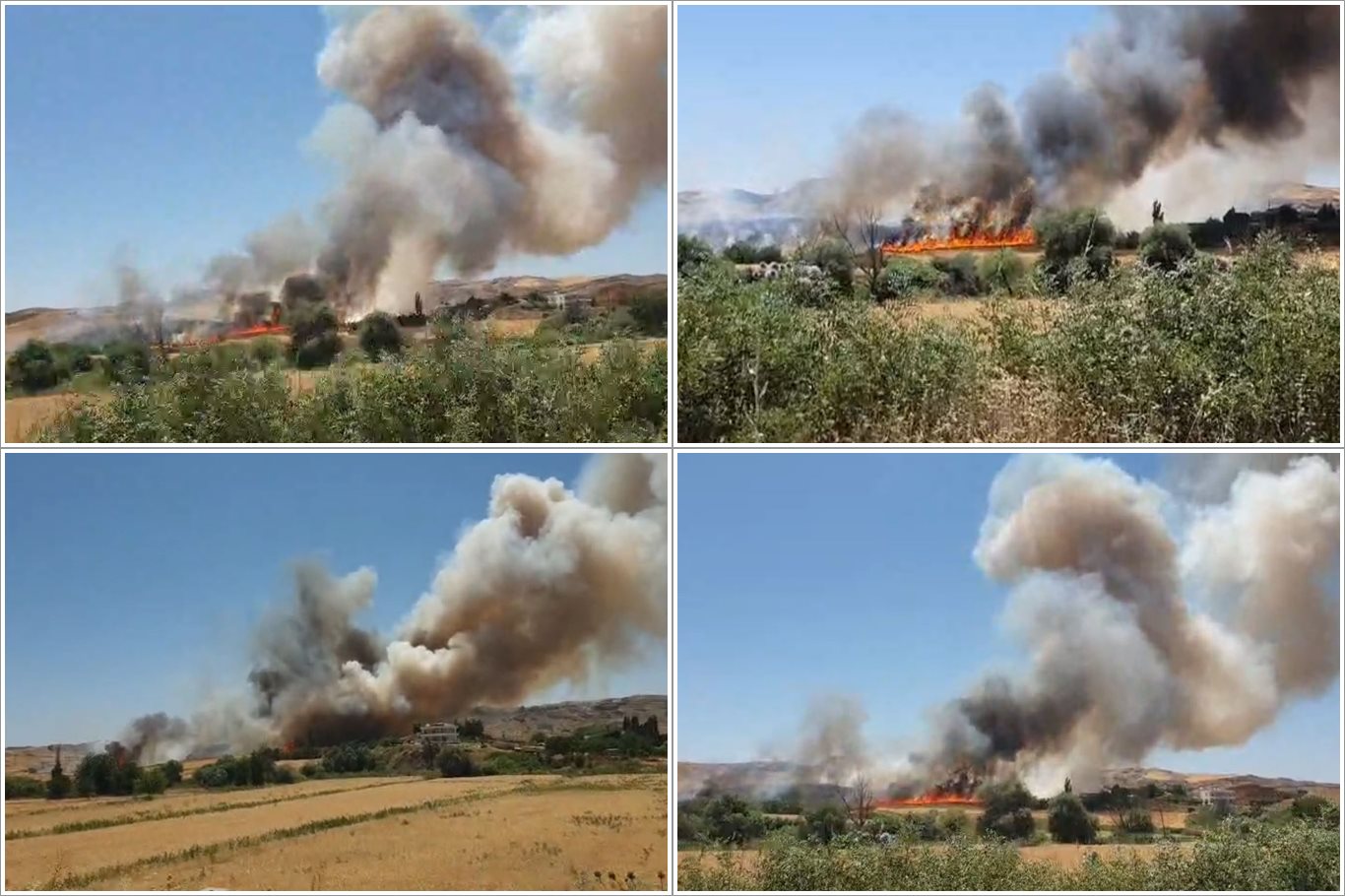 Yangın Ekili Arazilere Sıçradı