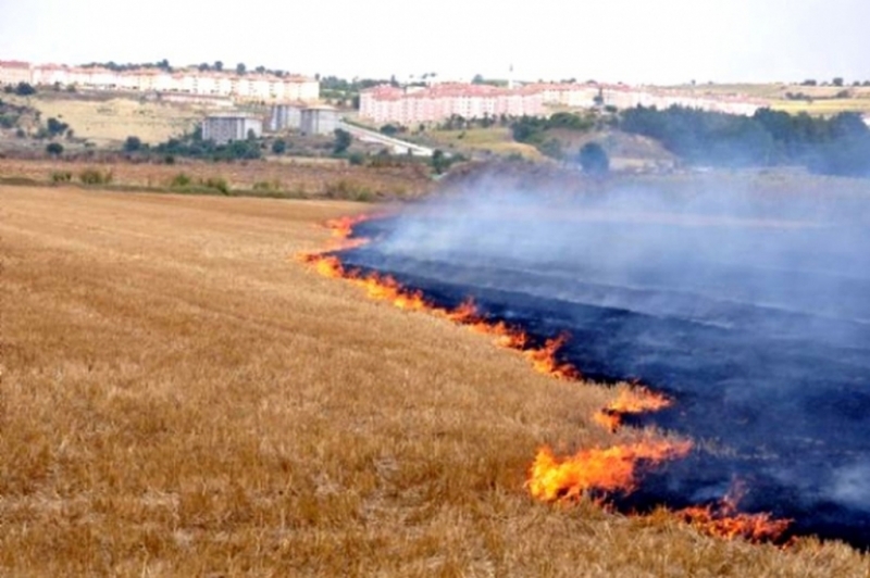 Evren Arı’dan Anız Yangını Uyarısı!