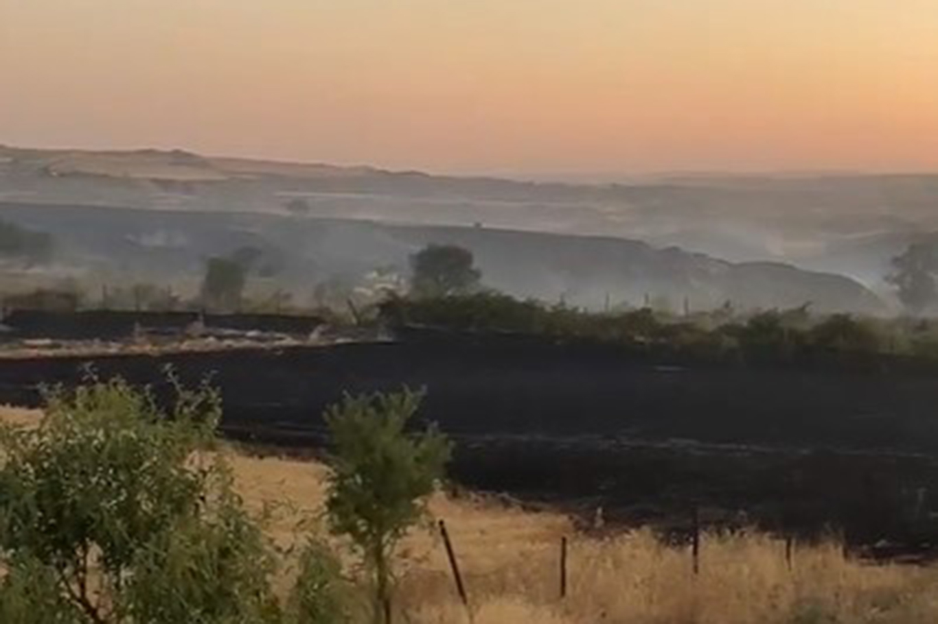 3 Bin Dönüm Buğday Kül Oldu