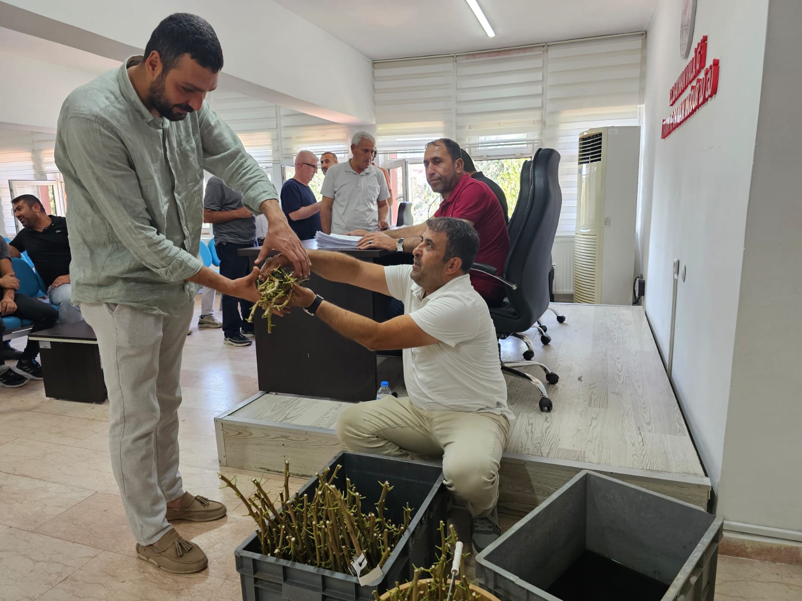 Batman’da Fıstıkta Verim Artışı İçin Yeni Adım