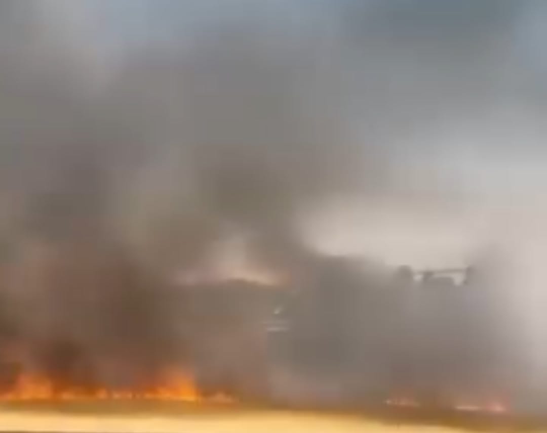 170 Dönümlük Buğday Tarlası Yangında Kül Oldu