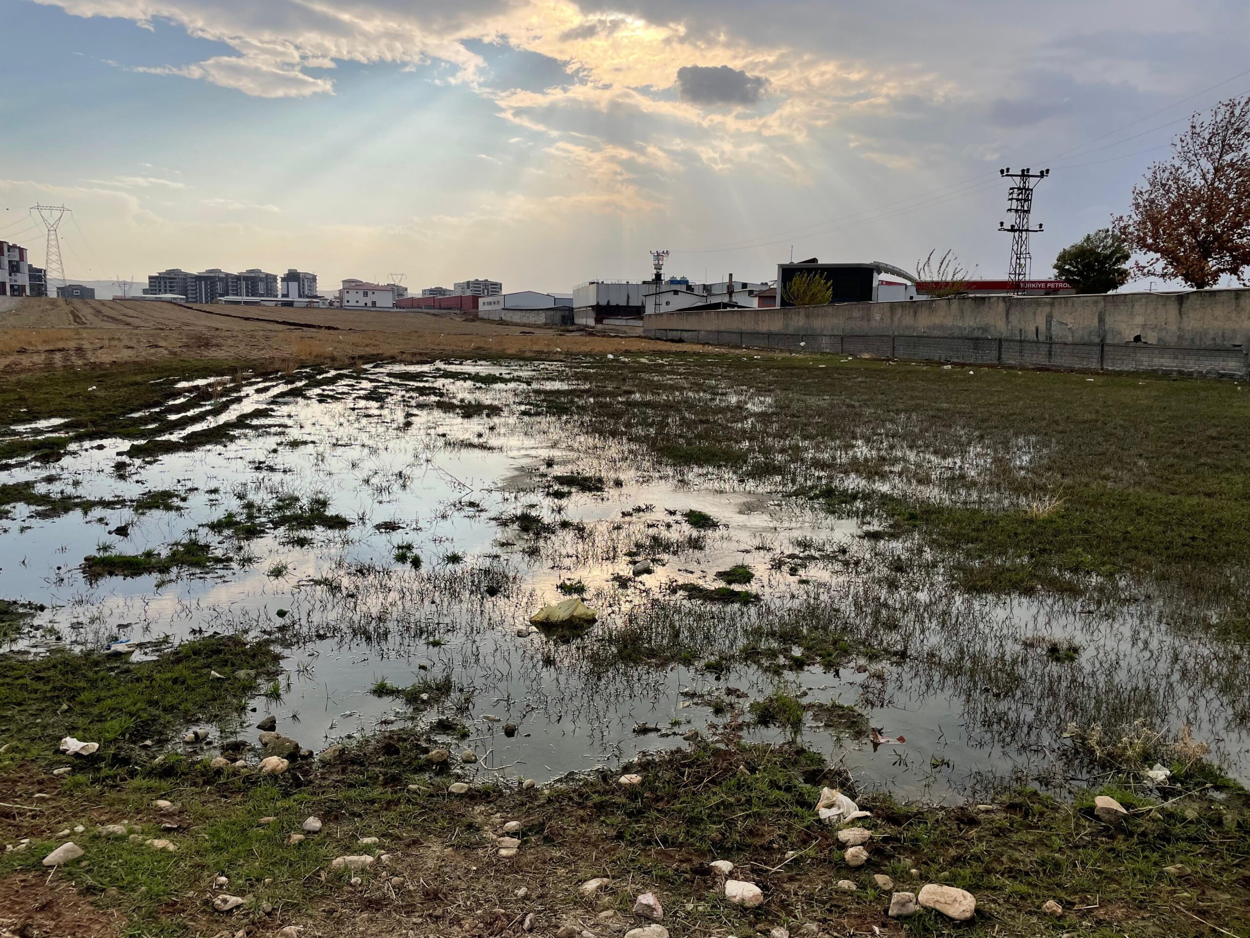 Haşere Üreme Alanlarında İlaçlama Yapıldı