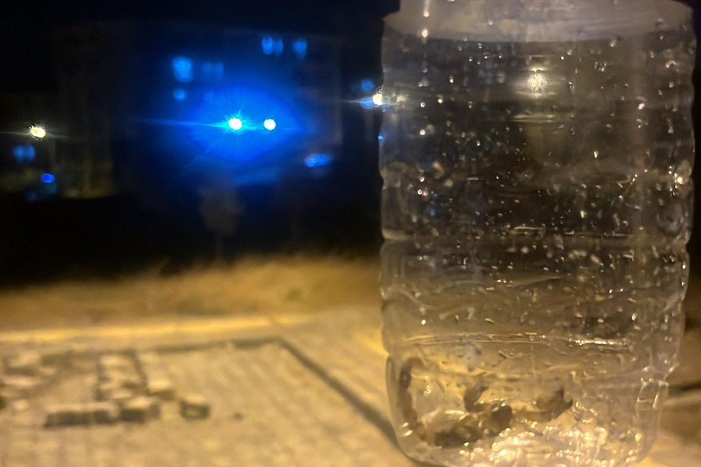 TOKİ’de Akrep Kabusu! İlaçlama Talebi Arttı