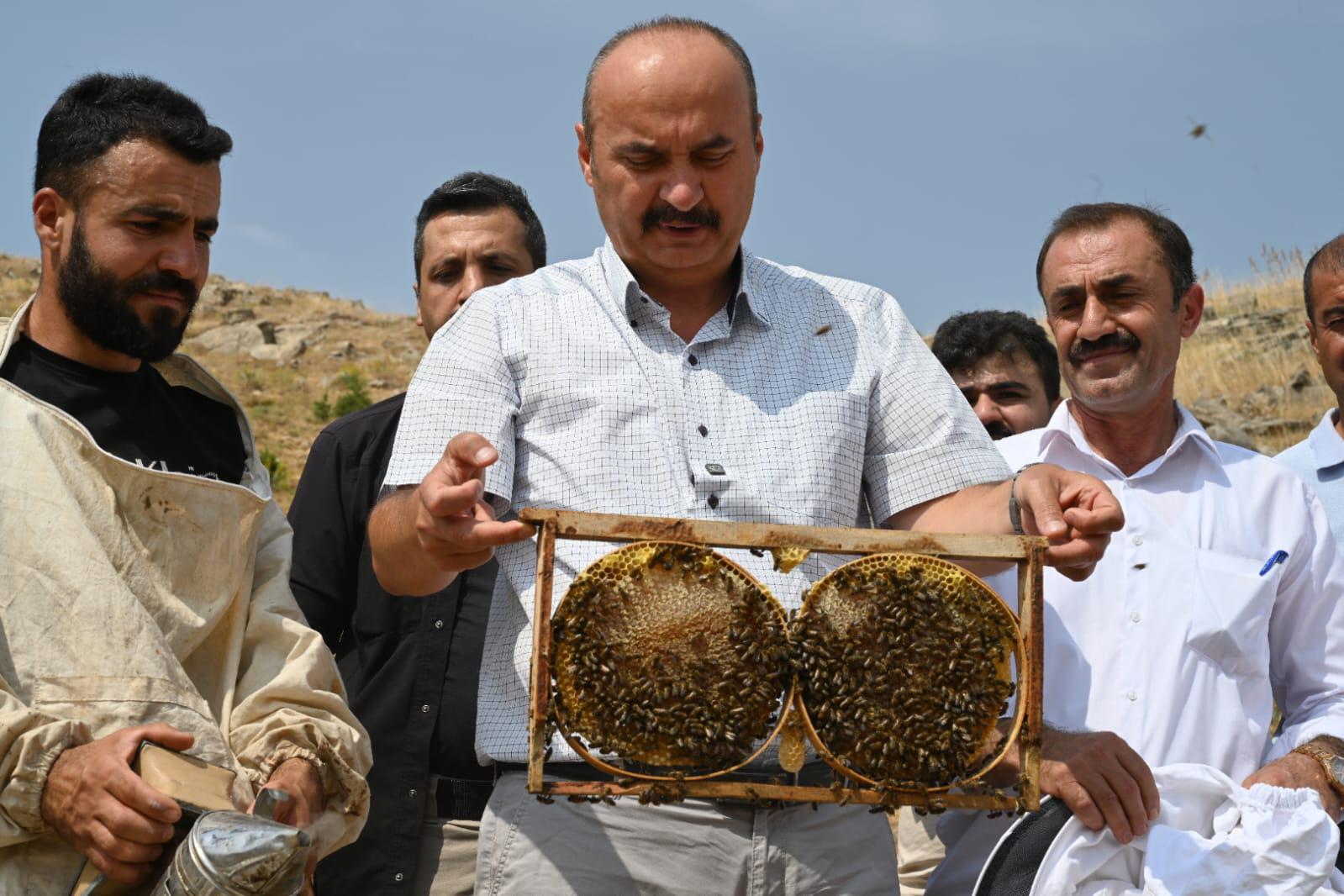 Cobet Yaylası’nda Sezonun İlk Balı Sağlandı