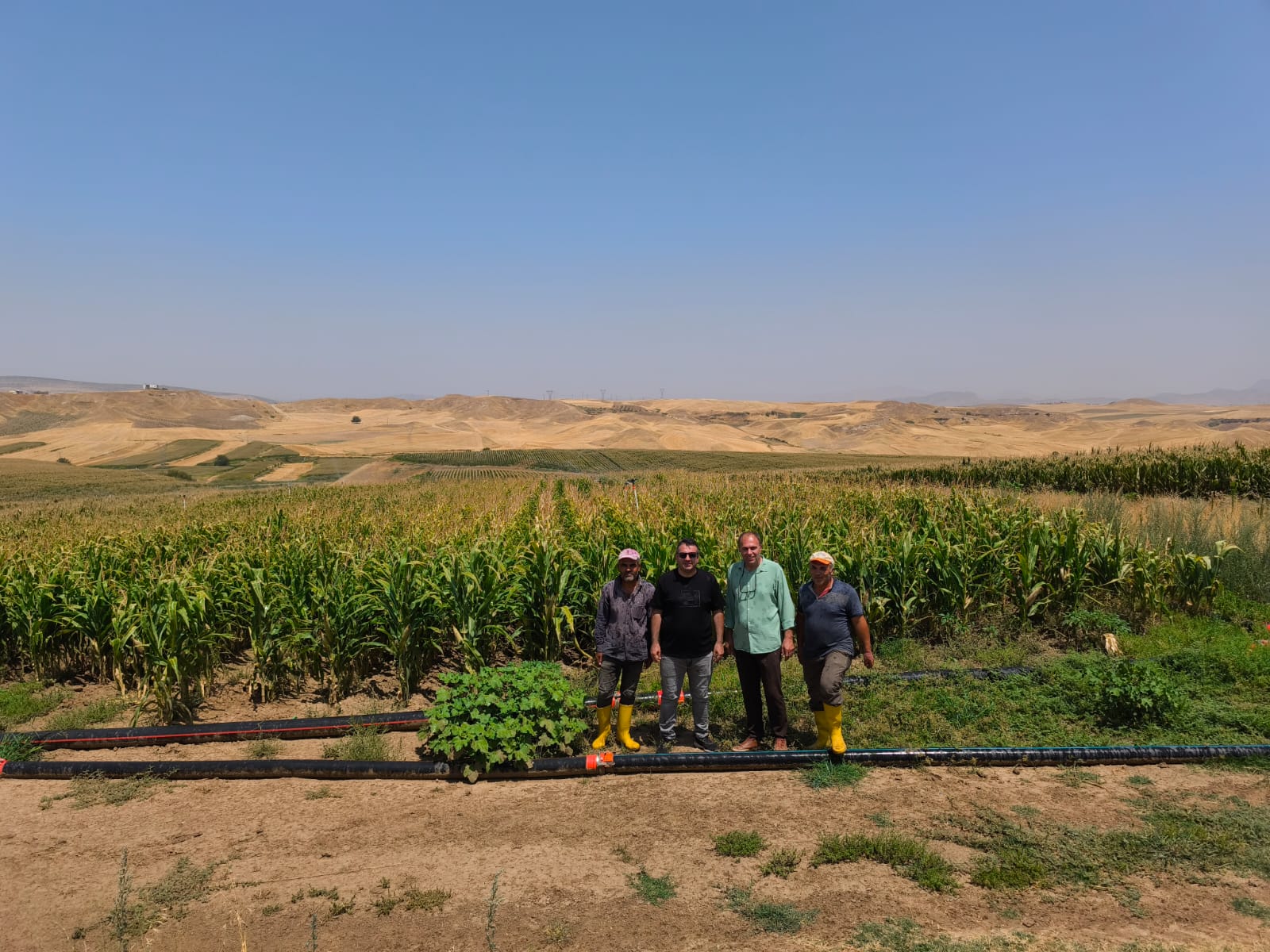 Basınçlı Sulama Sistemi desteğiyle verimlilik artıyor