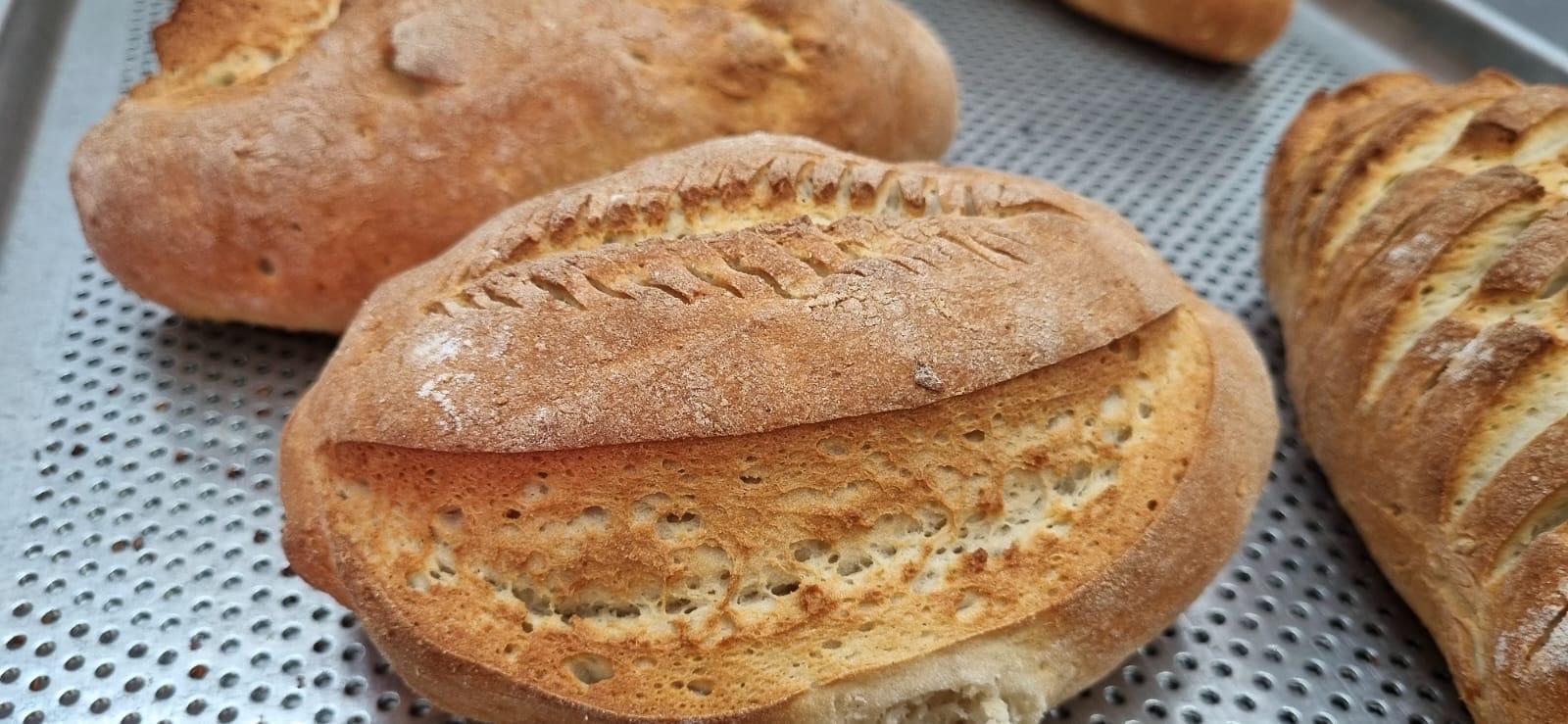 Çölyak Hastalarına Glütensiz Ekmek Desteği Devam Ediyor