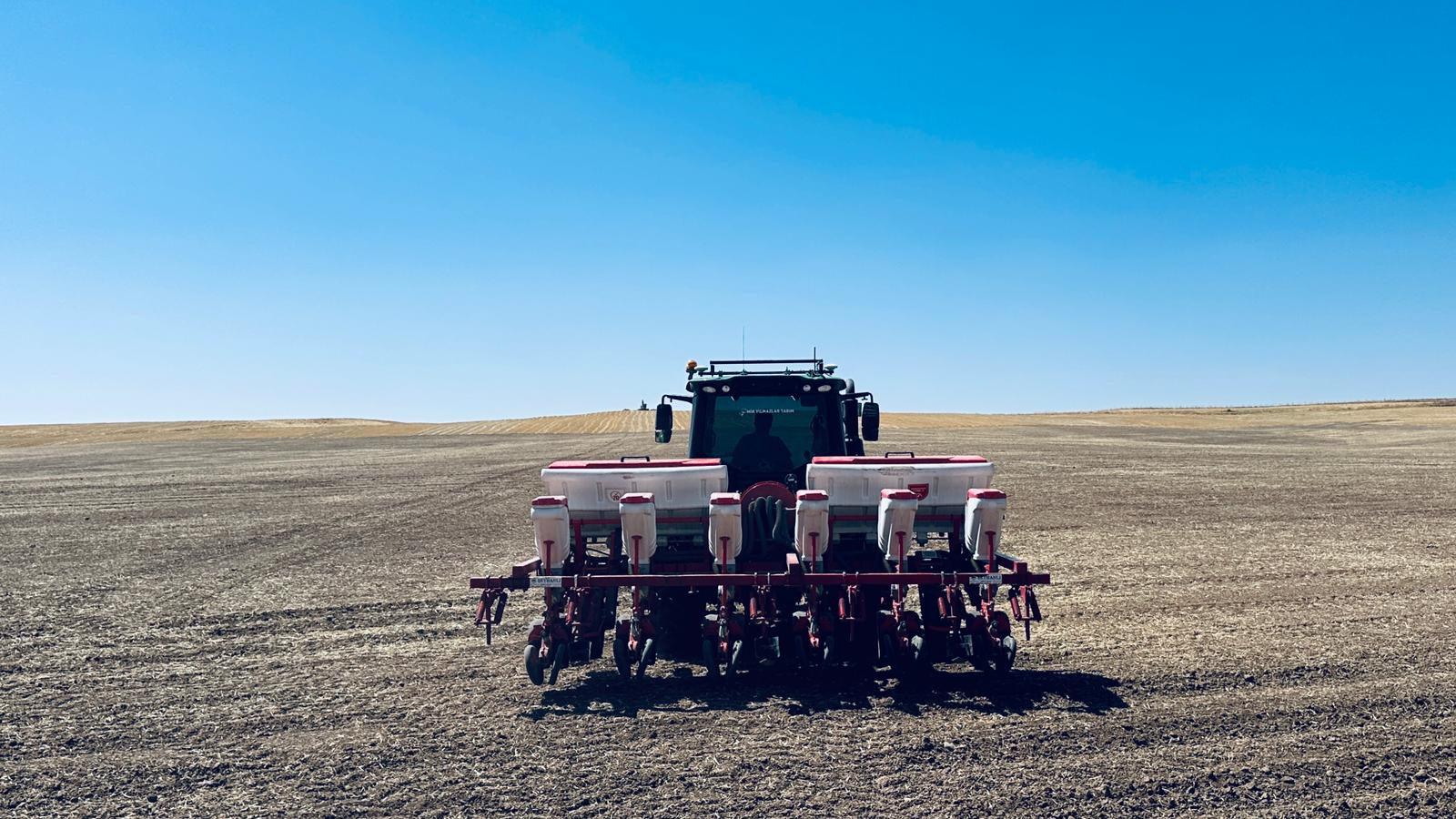 Batman’da İkinci Ürün Ayçiçeği Ekimi Yapıldı