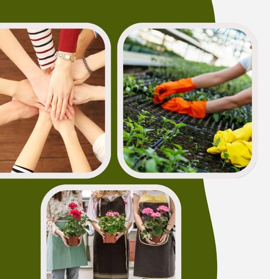 Batman’da Kadın Kooperatifleri Birliği Kuruldu