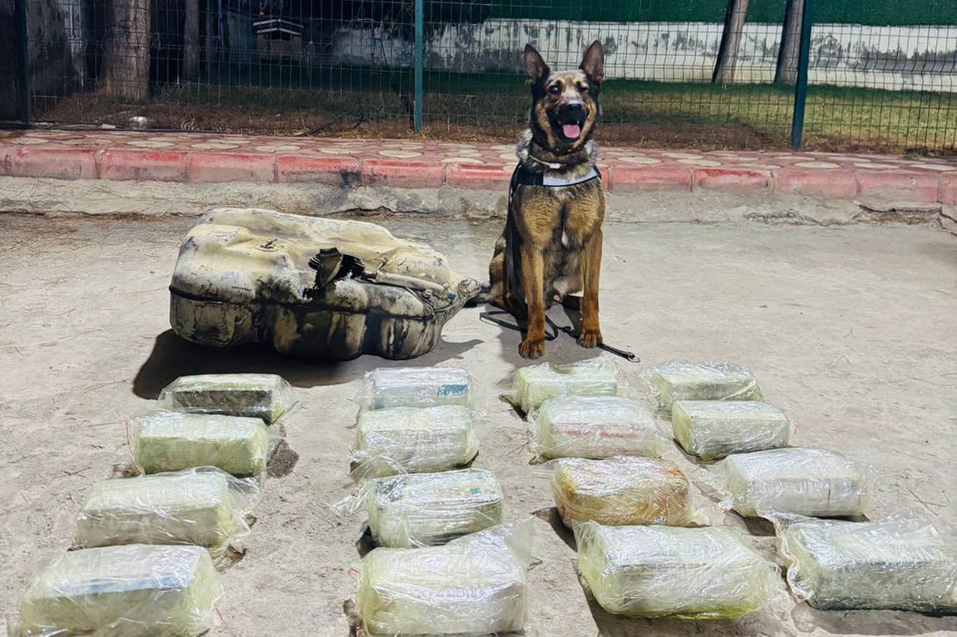 20 Kilo Toz Esrar Ele Geçirildi