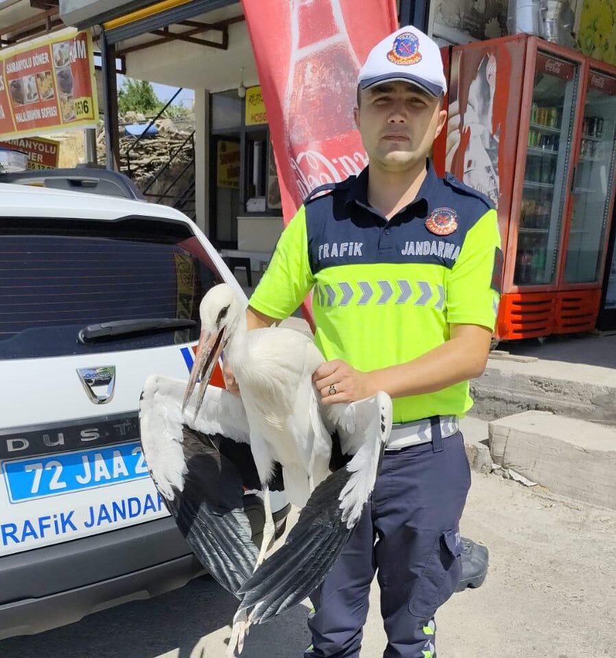 Yaralı Leylek Tedavi Altına Alındı