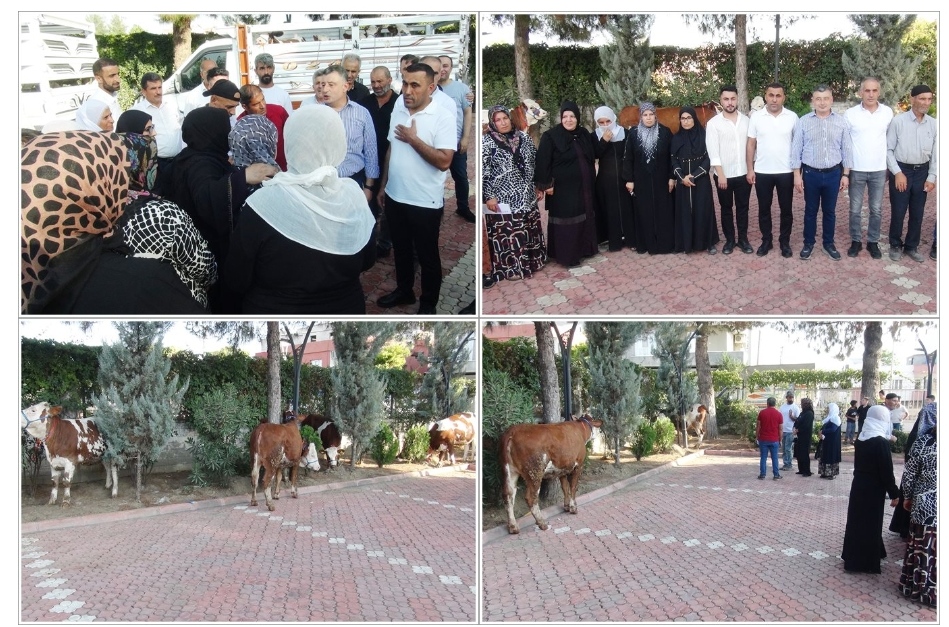 Batmanlı İş Adamından 10 Aileye İnek Desteği