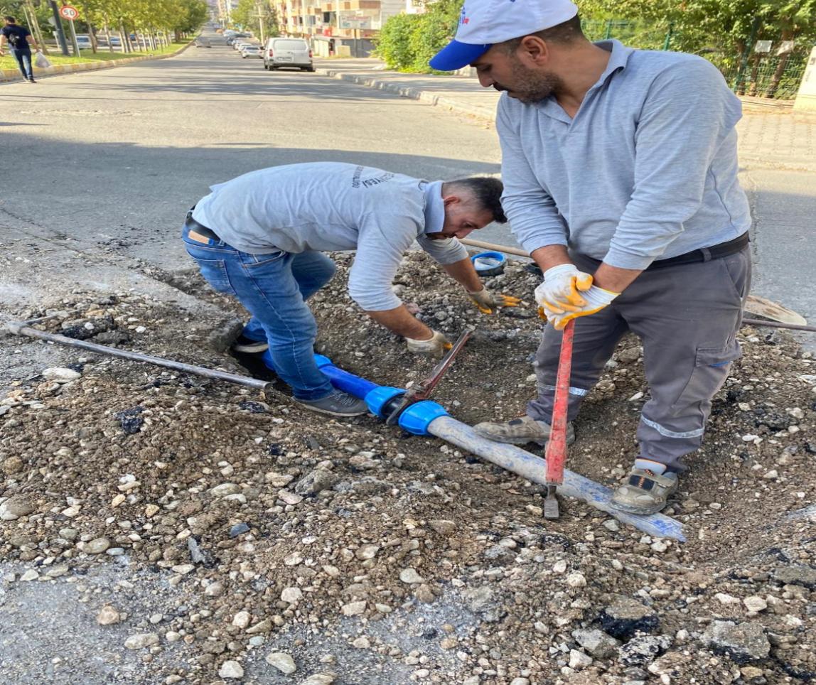 Park ve Yeşil Alanlarda Bakım Çalışmaları Sürüyor