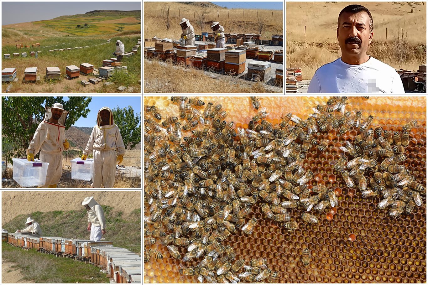 Batman’da Bal Sezonu Açıldı