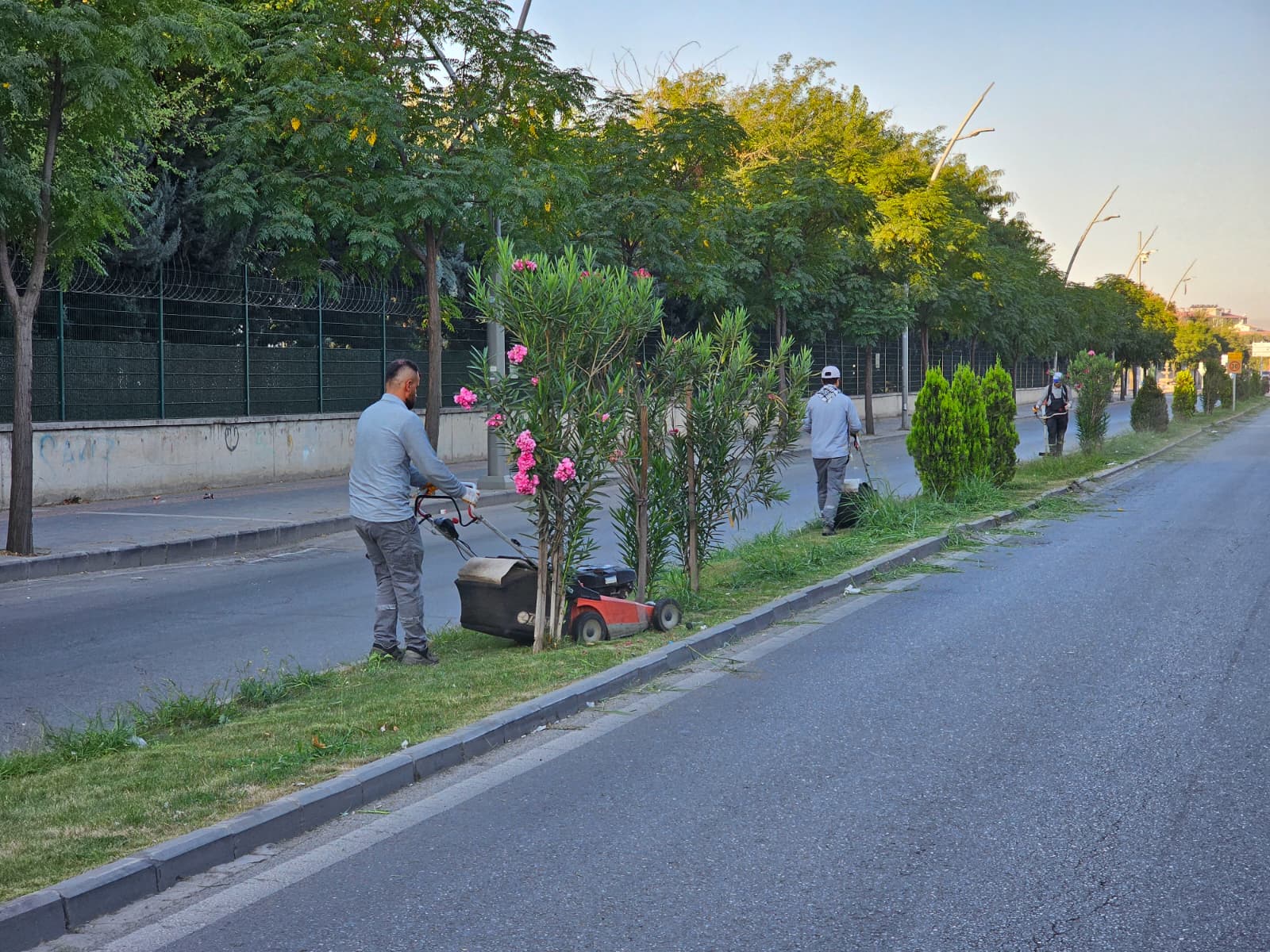 Park ve Yeşil Alanlarda Bakım Çalışmaları Yapıldı