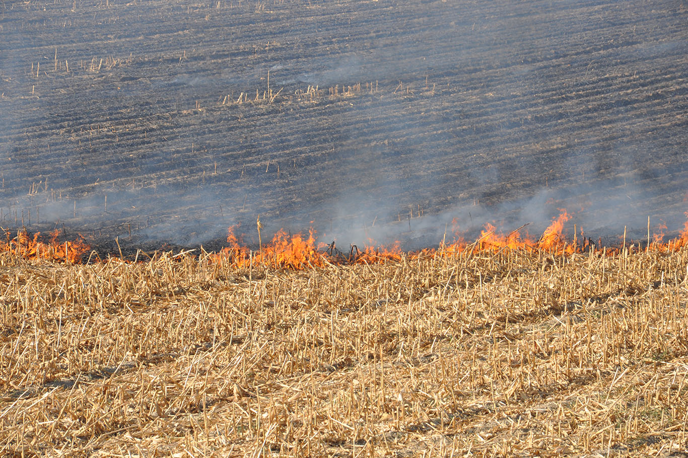 Batman İtfaiyesinden Çiftçilere Uyarı