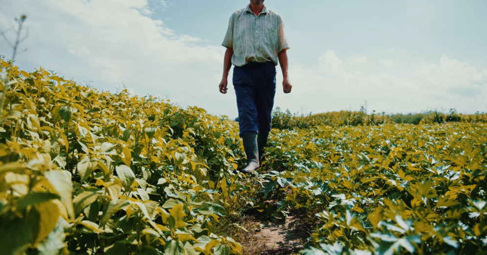 Dicle Elektrik, “Bugün Kaçak, Yarın Çorak” Kampanyası Başlattı