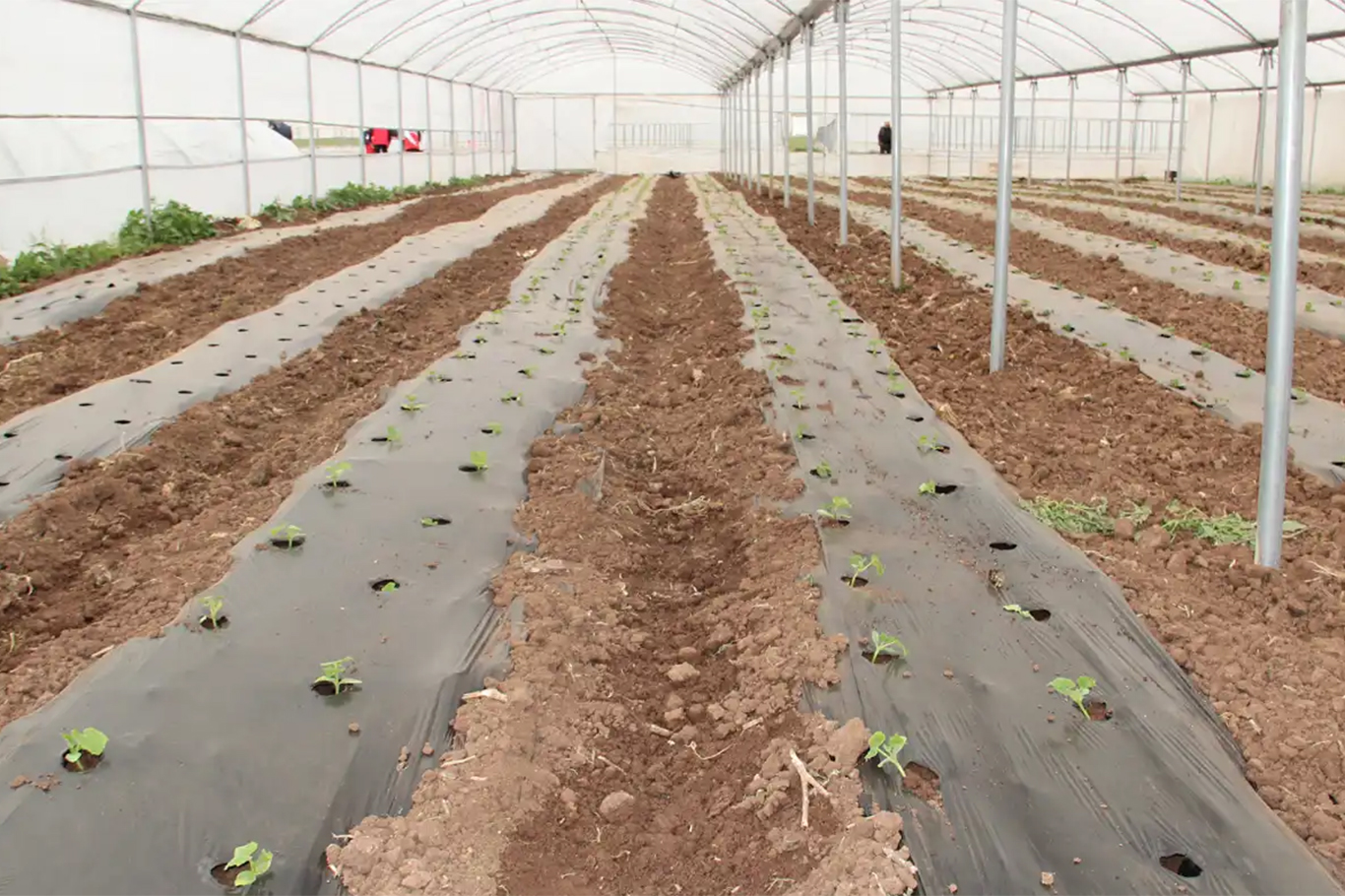 Sera OSB’nin Kuruluş Protokolü Onaylandı