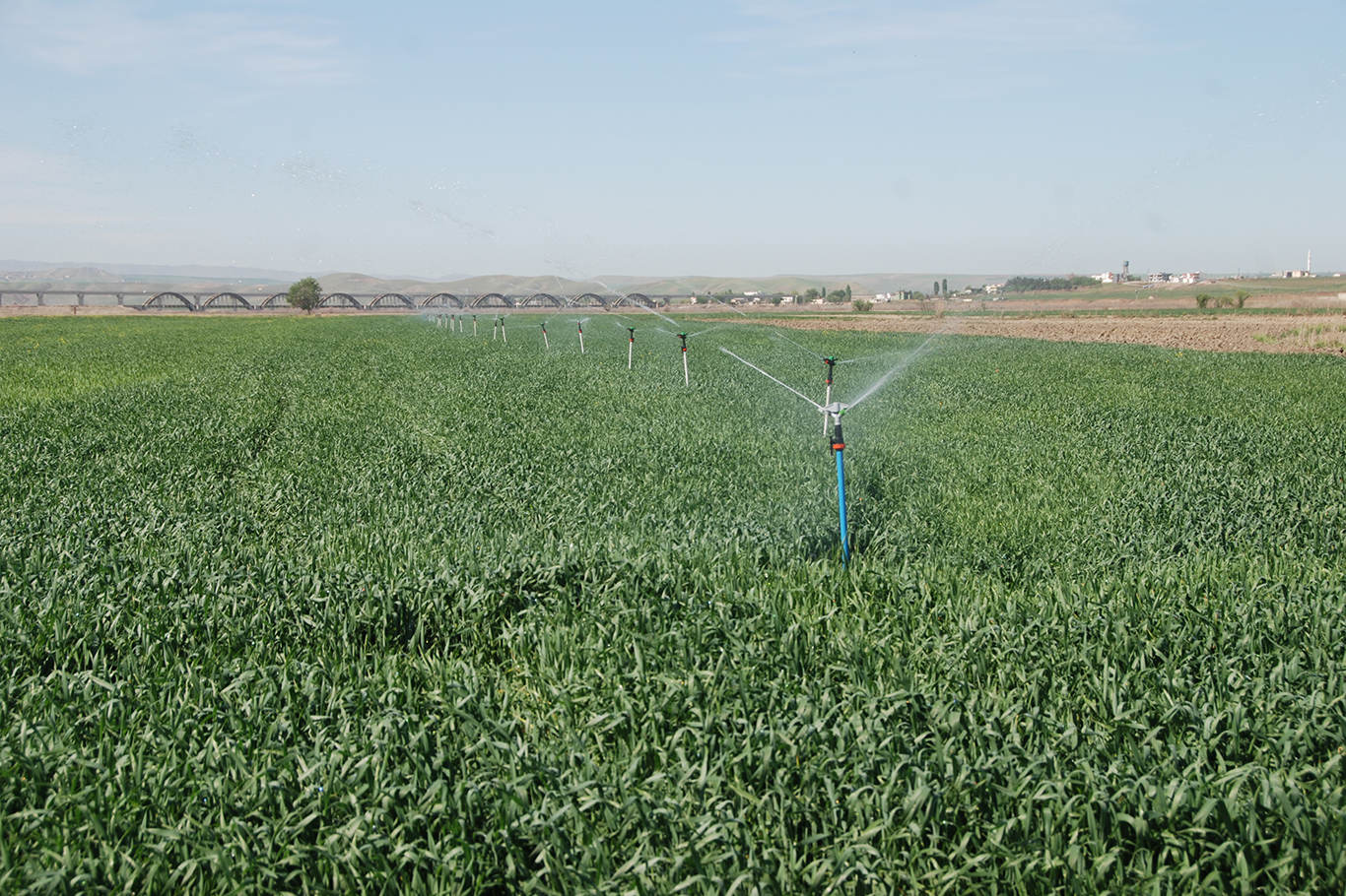 Zorunlu Tarım Sayımı İçin Kayıtlar Başladı