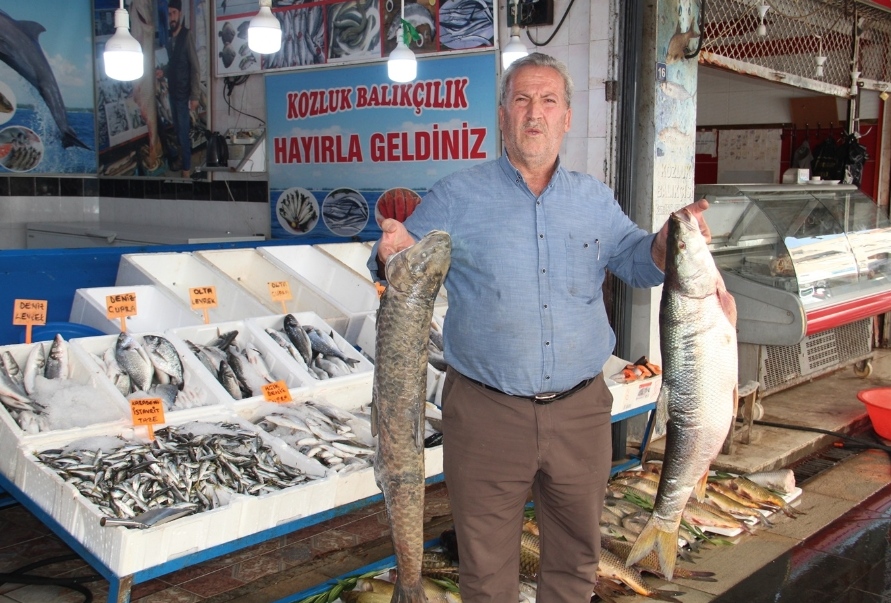 Av yasağı kalktı, balık piyasası hareketlendi