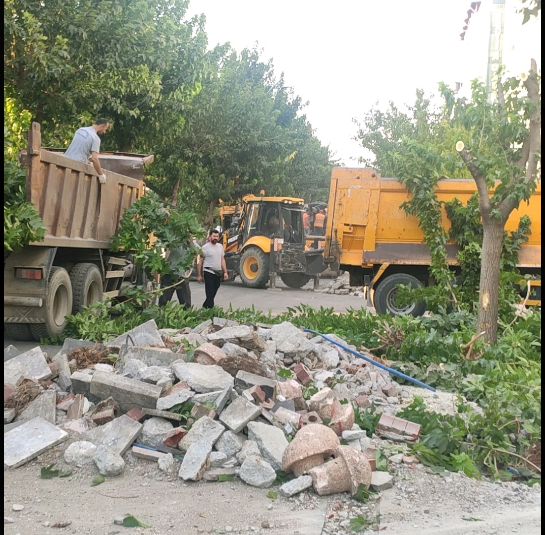 BATMAN BELEDİYESİ’NDEN AĞAÇ AÇIKLAMASI