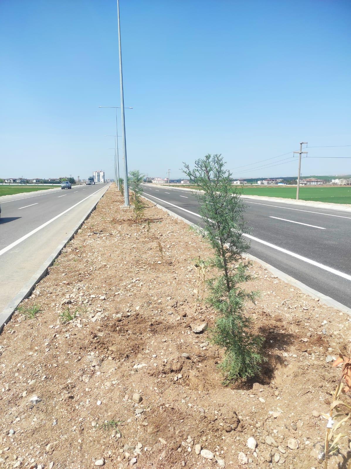 639 Bin 700 Fidan Toprakla Buluştu