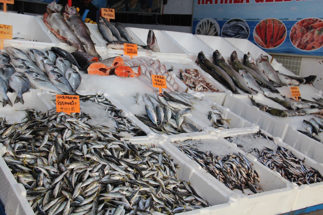 Batman’da balık tezgâhları hareketlendi