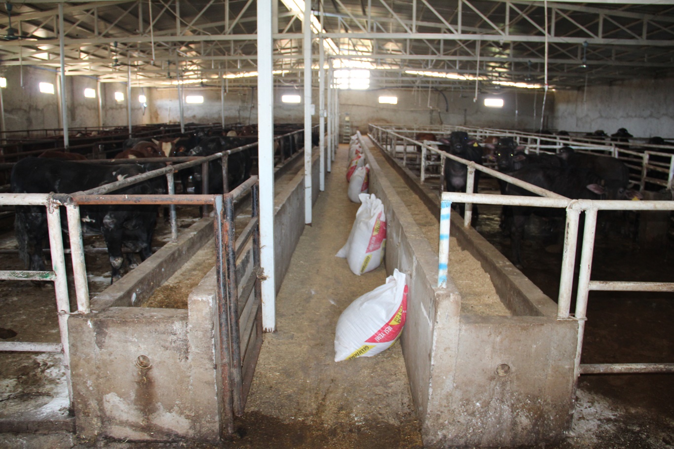 Besiciler: Üretim sürdürülemez hale geldi